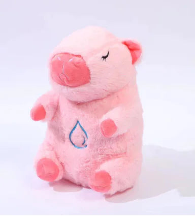 Music Doll Plush Toy for Baby Soothing